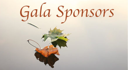 Gala Sponsors 2016